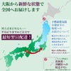 観葉植物 通販 アレカヤシ 10号鉢 マット釉陶器鉢カバー付 観葉植物 本物