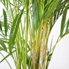 観葉植物 通販 アレカヤシ 10号鉢 キャラメルブラウン鉢カバー付 観葉植物 本物